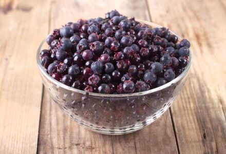 Superb Serviceberries Image